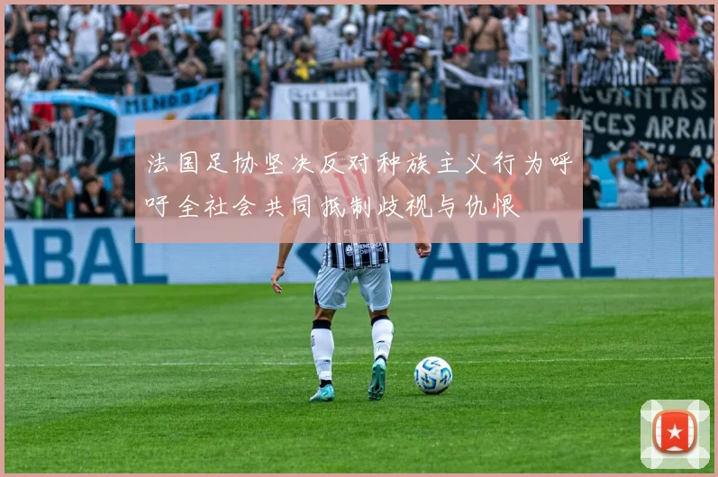 法国足协坚决反对种族主义行为呼吁全社会共同抵制歧视与仇恨