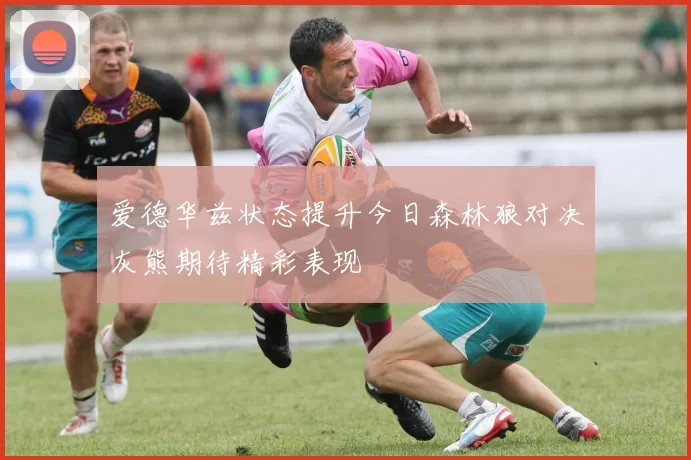 爱德华兹状态提升今日森林狼对决灰熊期待精彩表现