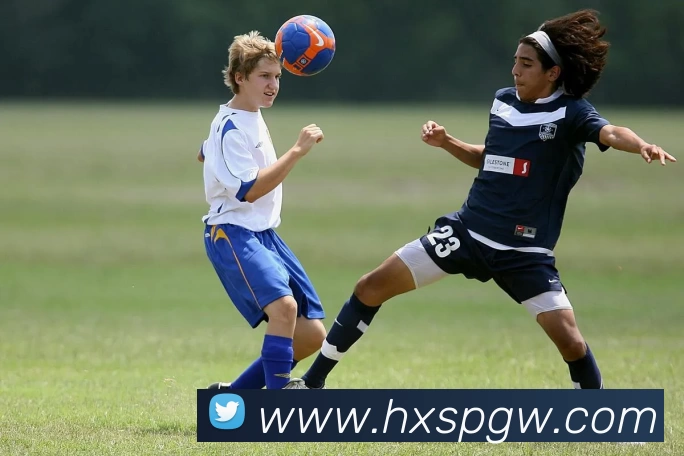 海星体育官网发展历程